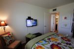 TV with digital antenae in guest bedroom with queen bed